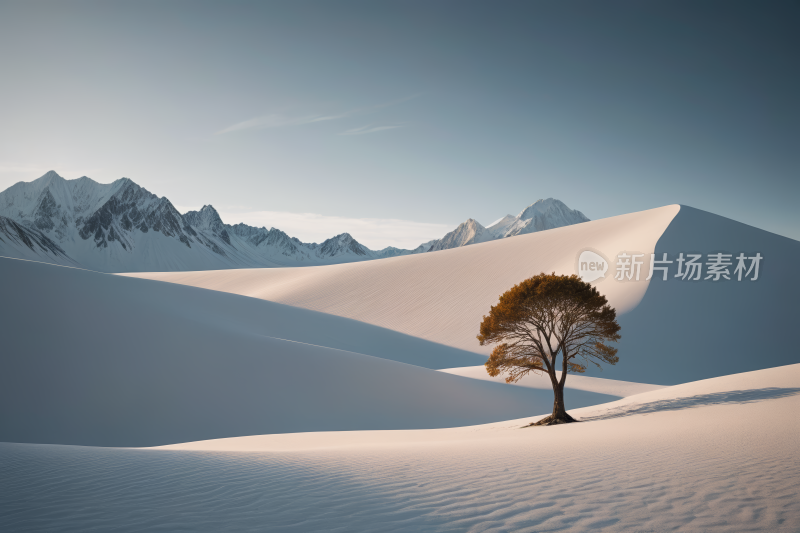 雪原中央一棵孤树高清背景图片