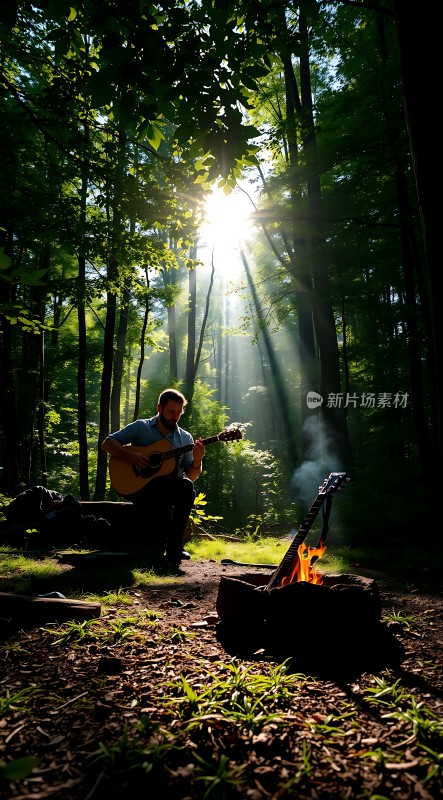 阳光下的森林音乐会
