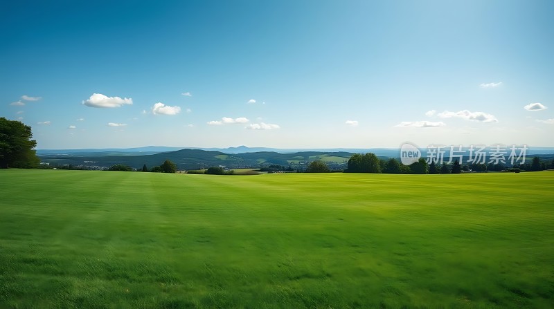 蓝天白云下的绿色草原