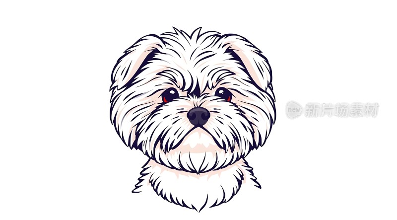 白色小狗可爱画像