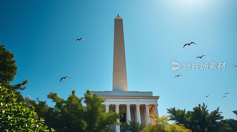 阳光下的方尖碑与飞翔的海鸥