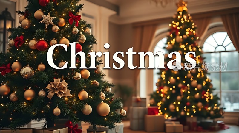 圣诞树下的温馨时刻