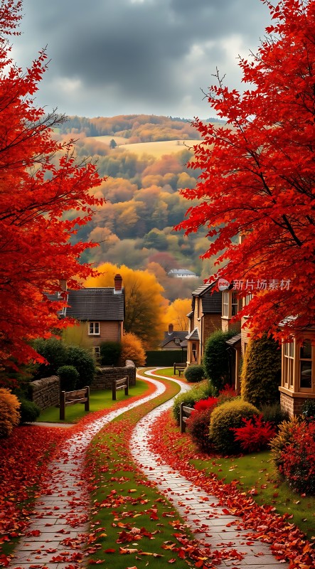 秋日暖阳下的宁静小径