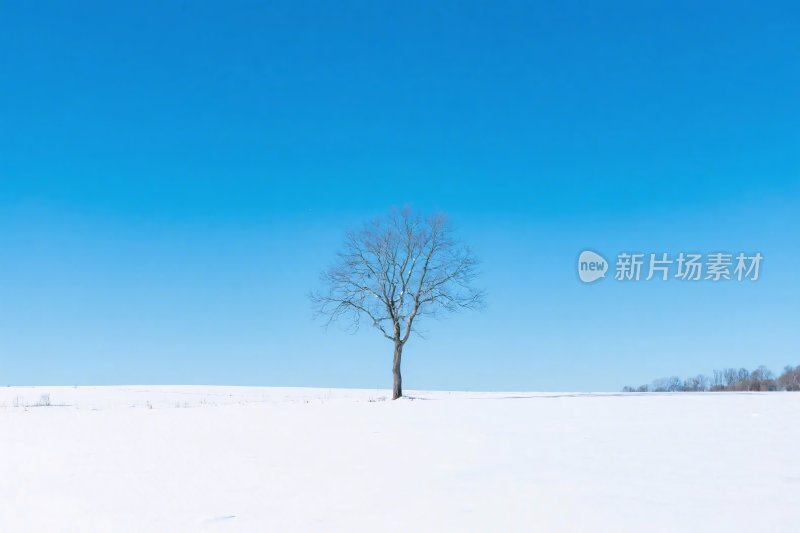 雪地孤树风景插画