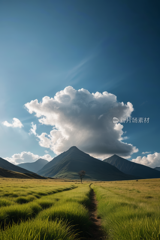 草地一条通往山脉的小路高清风景图片