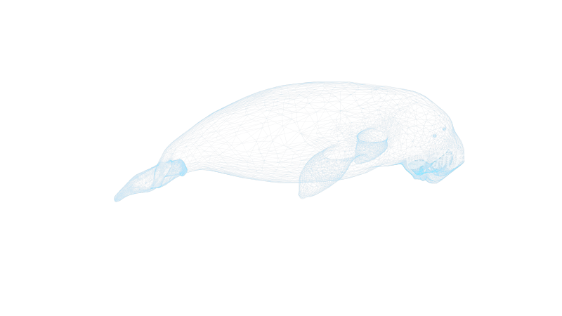 鲸鱼气球 鲸鱼抱枕海洋生物可爱大鱼鲨鱼