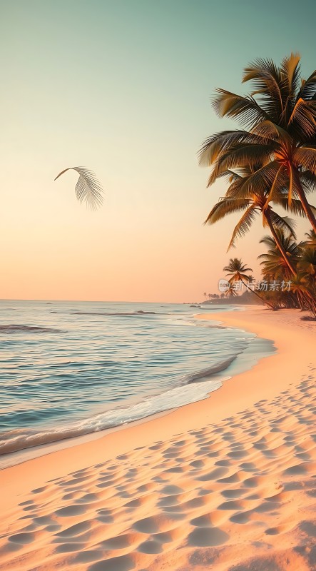 椰林沙滩日落美景