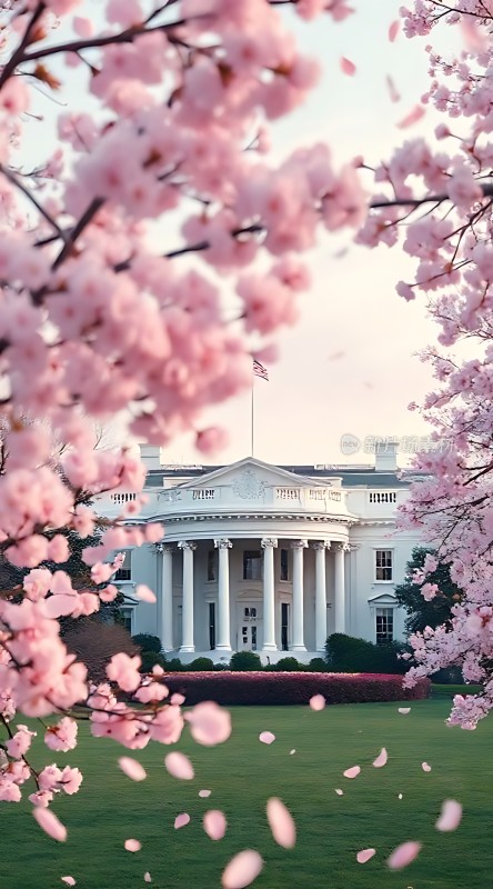 白宫春意盎然