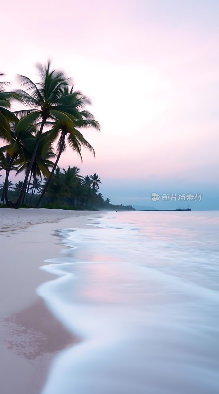 椰林轻摇海浪轻拍沙滩