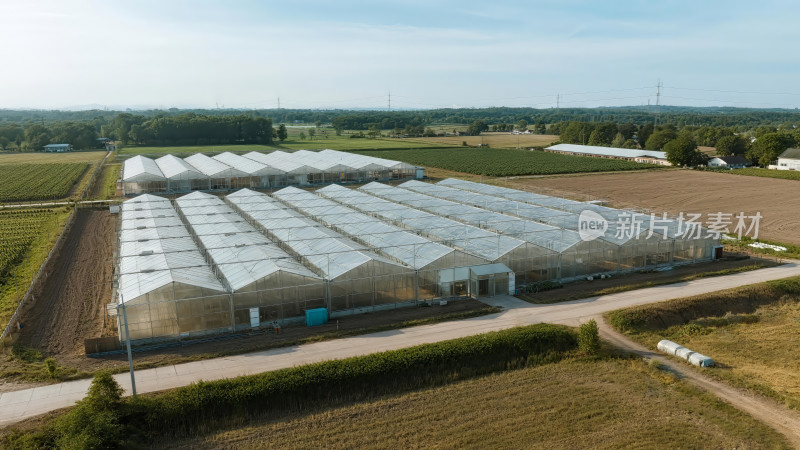 现代农业温室大棚航拍