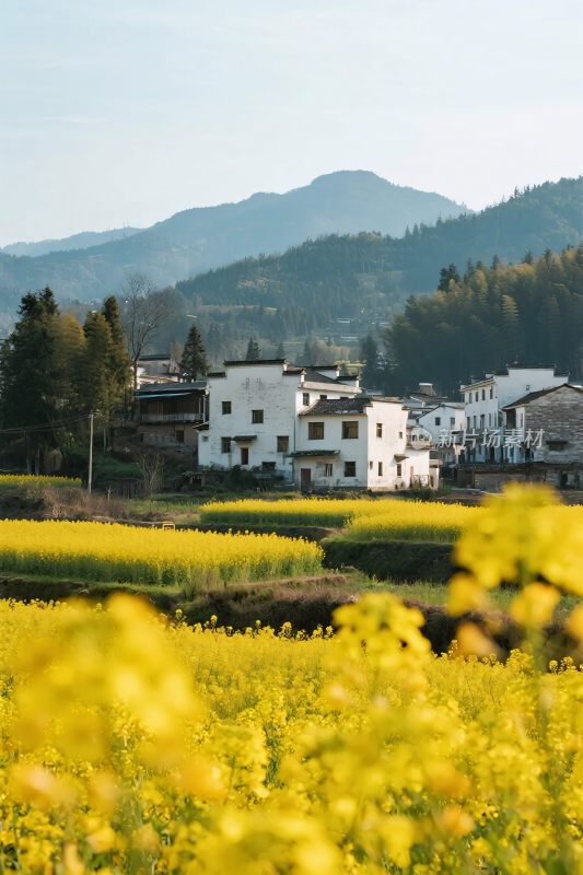山水田园乡村风景