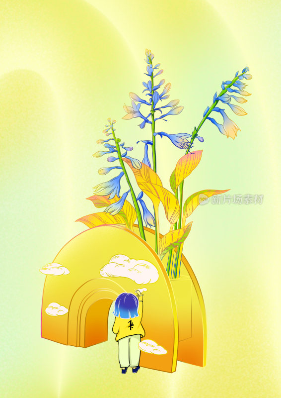 二十四节气植物实物处暑夏