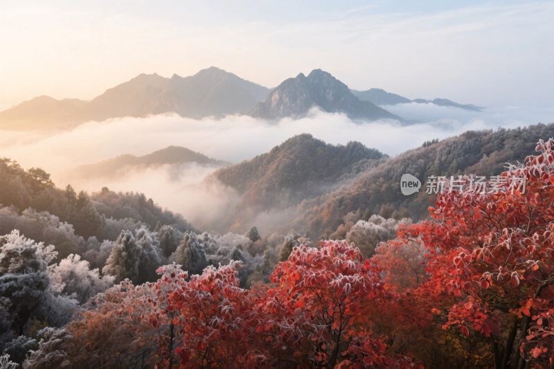 山间红叶与云海美景