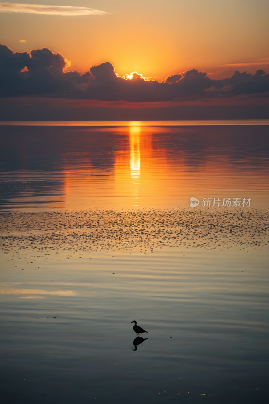 日落时分站在湖岸上高清风景图片