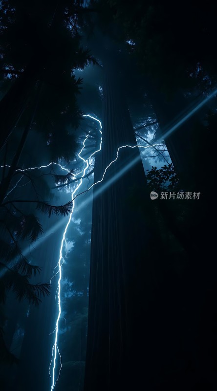 森林闪电奇观