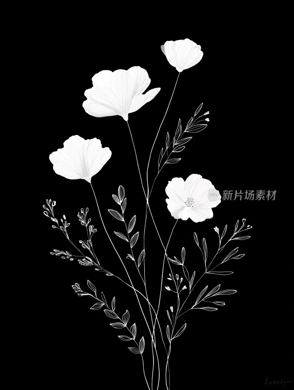 黑白花朵插画图案