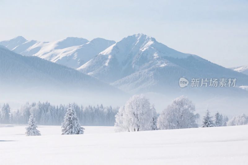 冬日雪山雪景图