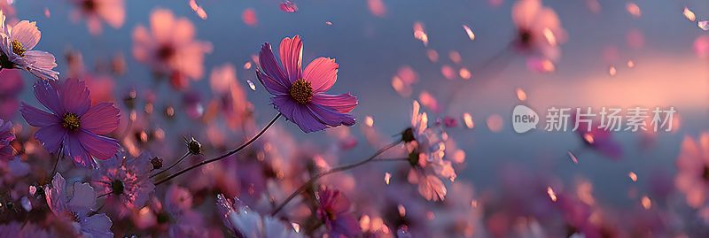 梦幻唯美的粉色花朵风景