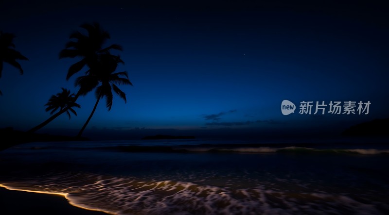 椰林夜色海浪轻拍沙滩