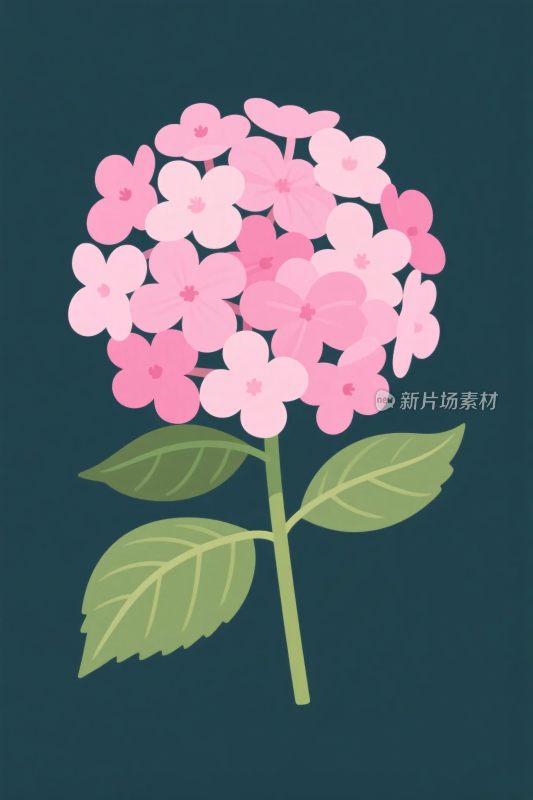 粉色绣球花插画