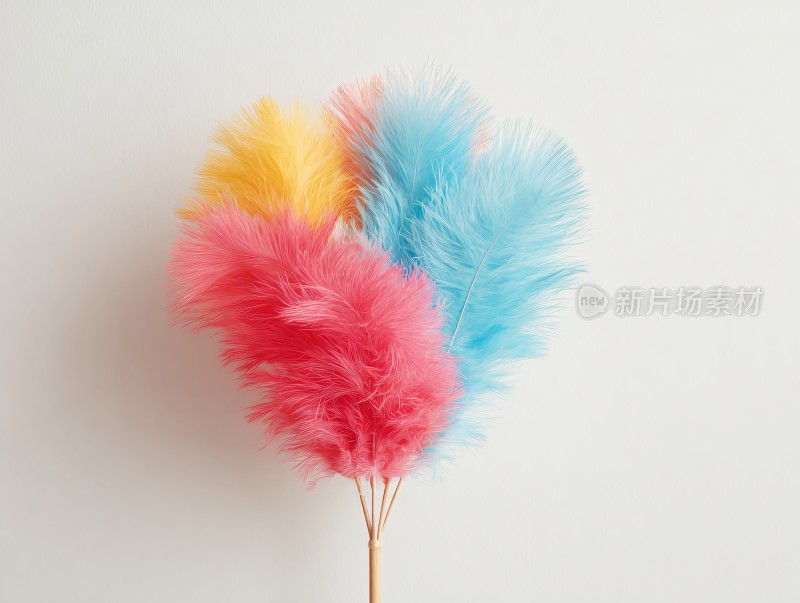 彩色羽毛装饰摆件