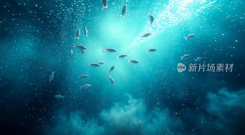 海洋之舞鱼群与光晕共舞