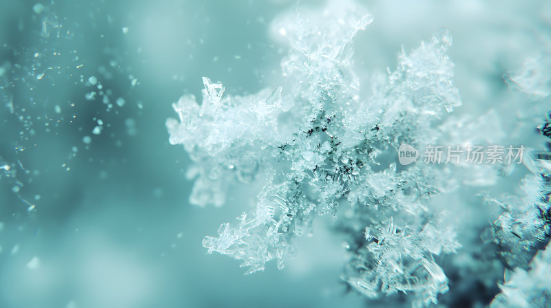 复杂冰晶带有精致雪花图案