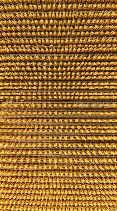 金光闪耀的线条世界