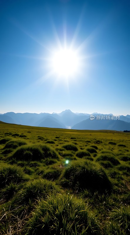 阳光下的绿色草原与远山