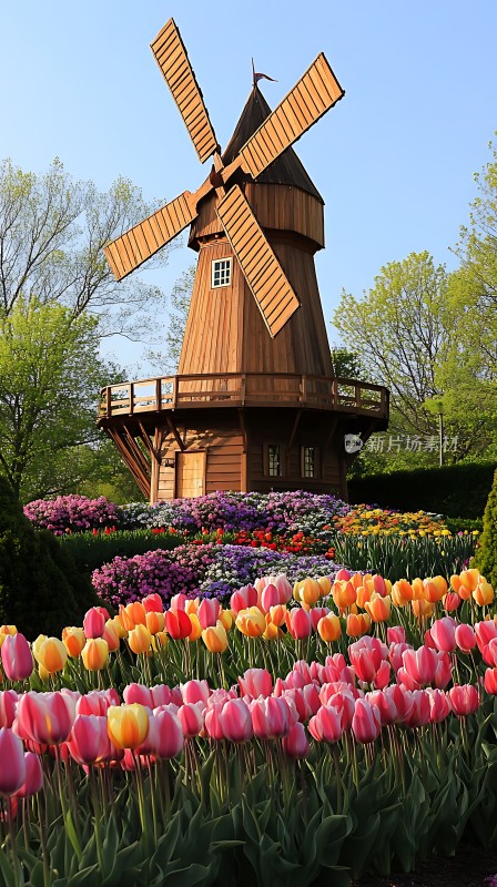风车花海春意盎然