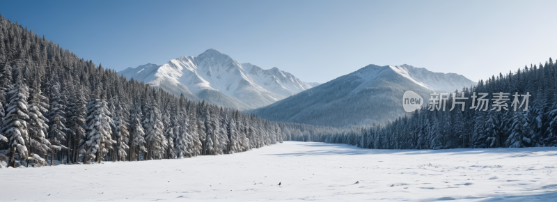 雪山树木茂盛地面积雪高清风景横幅图片