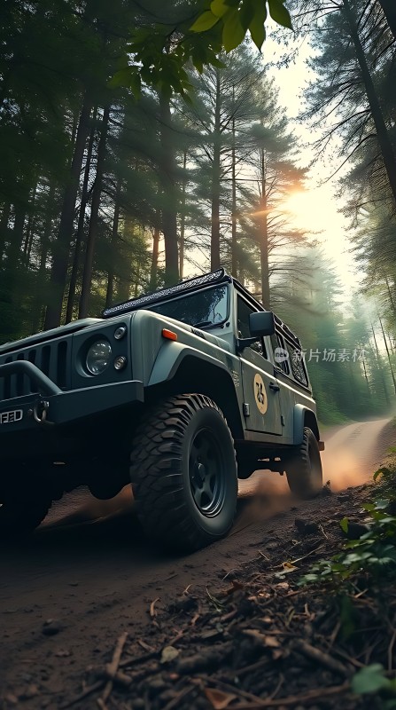 森林探险之旅越野车穿越林间小道