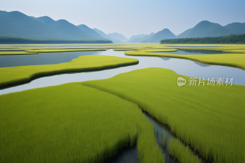 草地有河流流过山脉高清图片