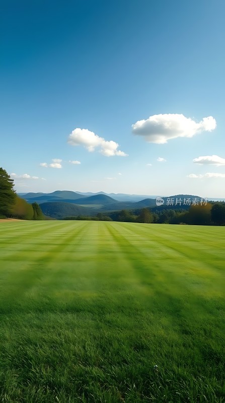 蓝天白云下的绿色草原