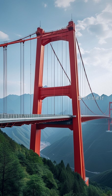 红岩村大桥全景