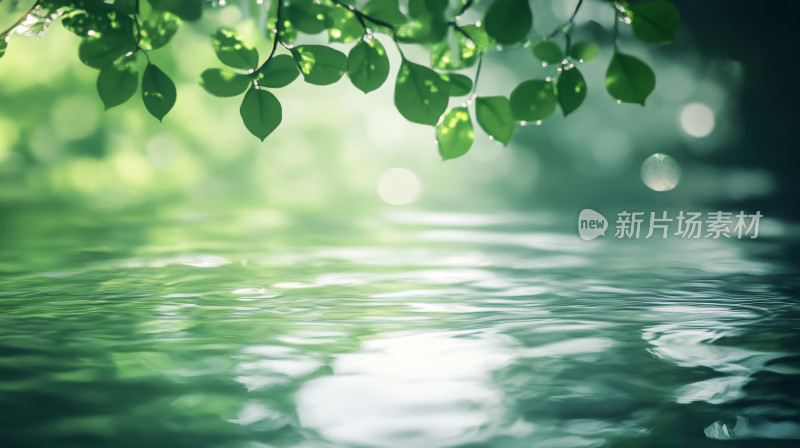 小清新水面上的绿色树枝叶子模糊耀斑背景