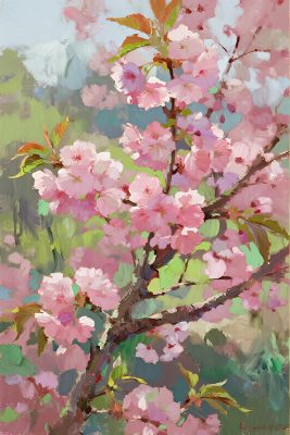 春日樱花手绘插画