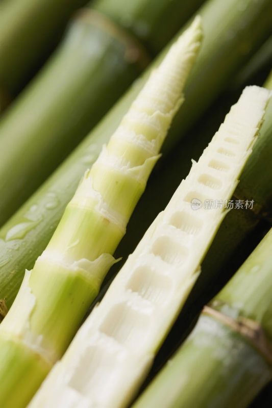 竹笋特写摄影