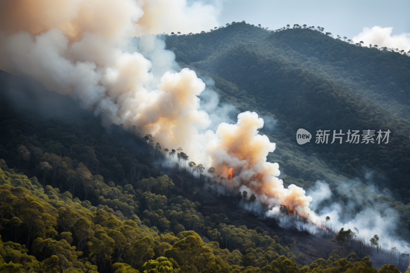 山上森林火灾产生的烟雾滚滚而来风景图片