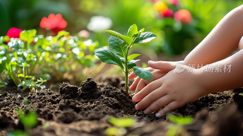 呵护幼苗成长共筑绿色希望