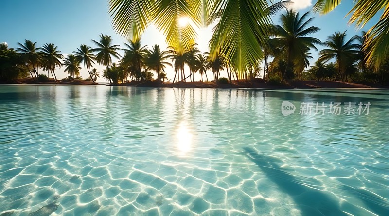 阳光下的热带风情