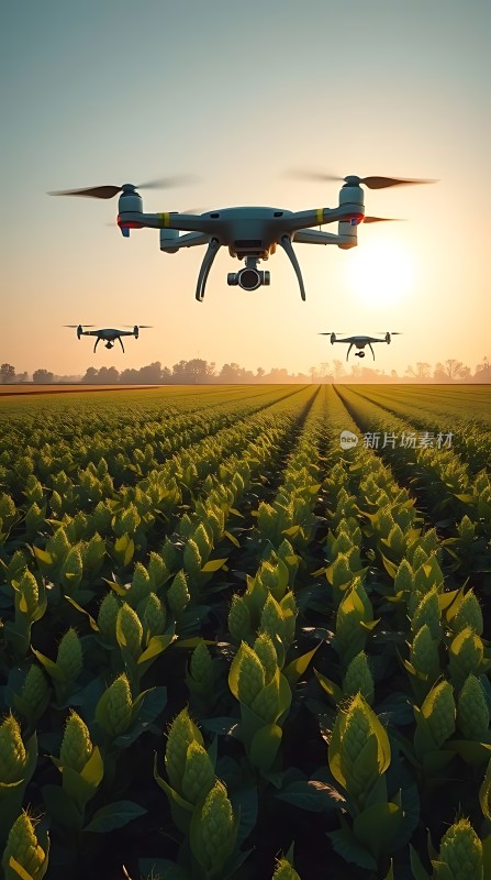 无人机监测农作物生长状况