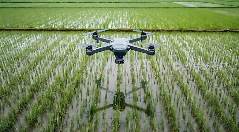 无人机巡田