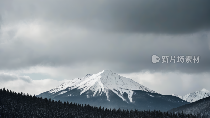 一座雪山上面有树木和雪风景风光高清图片