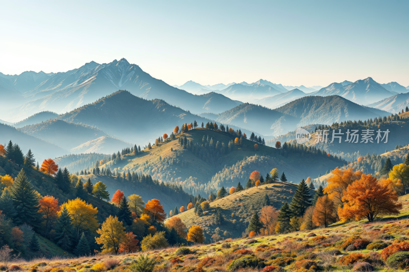 山脉的树木几座山丘高清风景风光图片