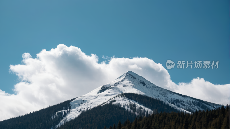 一座被雪覆盖高山清风景图片