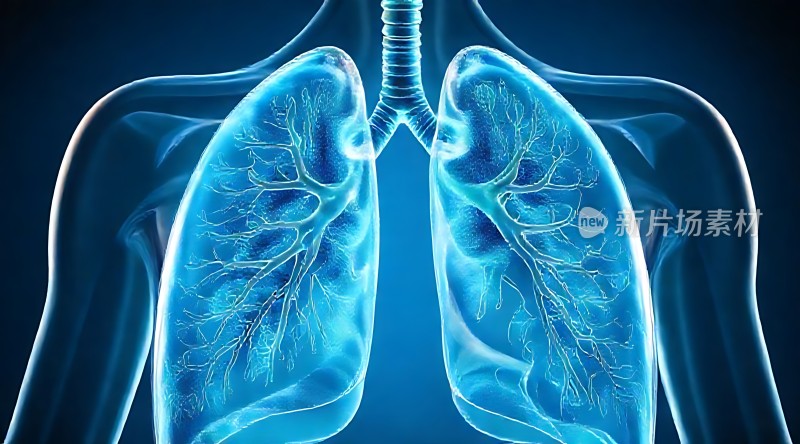 肺部健康呼吸系统的奥秘