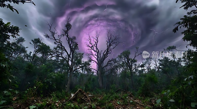 森林风暴奇观