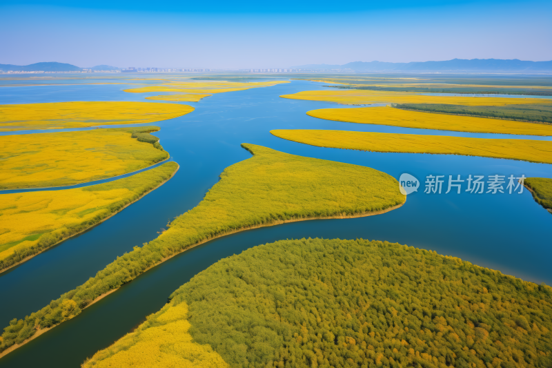 一条河流穿过郁郁葱葱的绿色田野背景图片