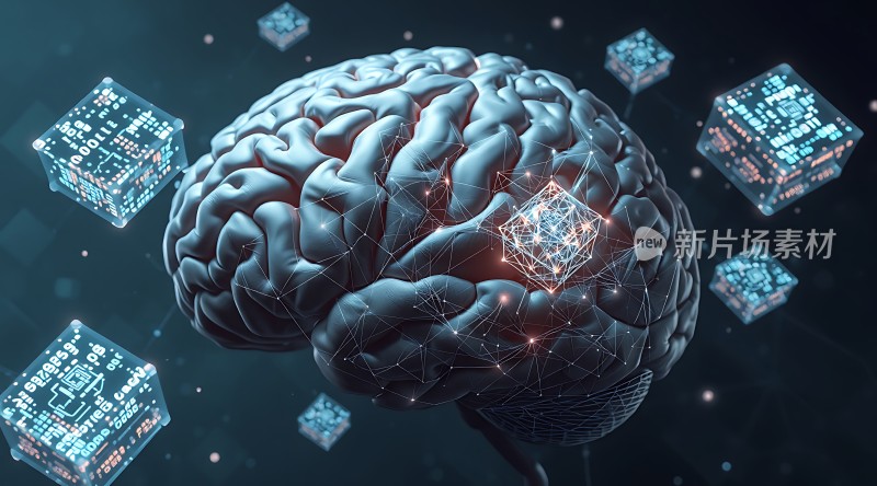 数字大脑与数据立方体